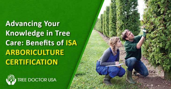 ISA arboriculture San Diego
