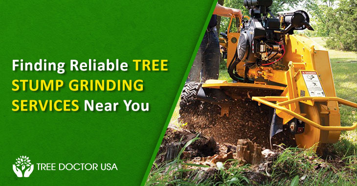 tree stump grinding services near me