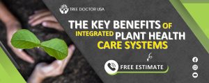 plant health care