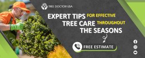 Best Tree Care