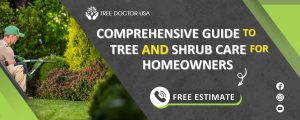 Tree and Shrub Care