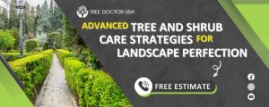 advanced tree and shrub care