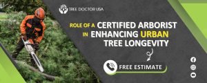 certified arborist san diego