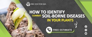 soil borne diseases