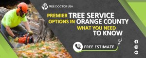 Tree service in Orange County