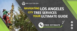 Los Angeles City Tree Services