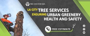 LA City Tree Services