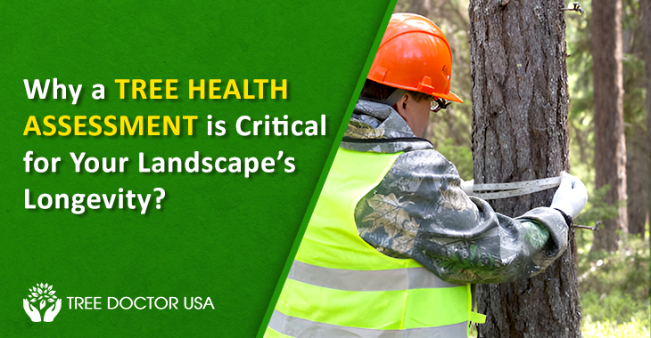 tree health assessments