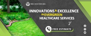 evergreen healthcare