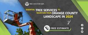 Tree service in Orange County