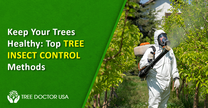 Tree Insects Control