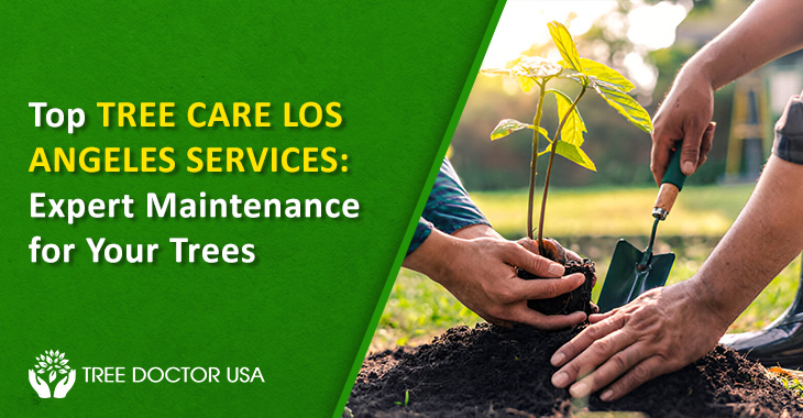 tree care in Los Angeles