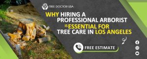 tree care in Los Angeles