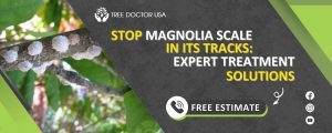 Magnolia Scale Treatment