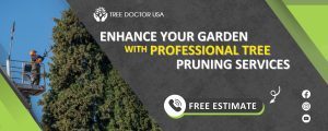 tree pruning service