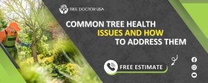 tree health service