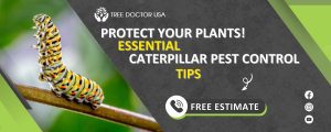 caterpillar pest control