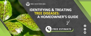 tree disease treatment