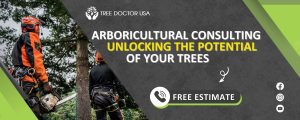 arboricultural consulting in San Diego