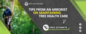 Tree Health Care