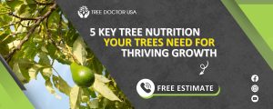 Tree Nutrition