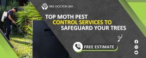 moth pest control service