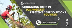 tree care in Los Angeles