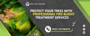 Fire Blight Treatment Services