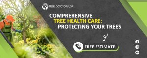 Tree Health Care