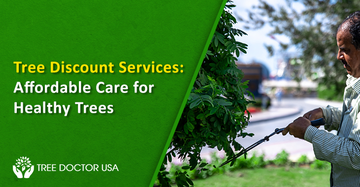 Tree Discount Services