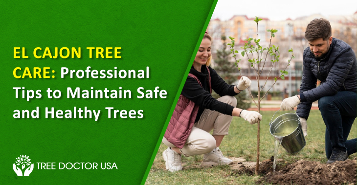 El Cajon Tree Care