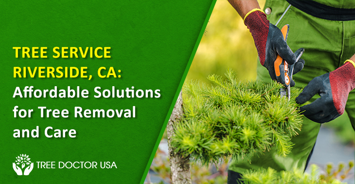 Tree Service Riverside CA